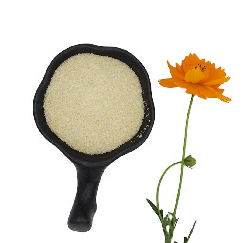 Wholesale Halal Edible Gelatin Powder From Bovine Skin for Gummies 120-220 Bloom